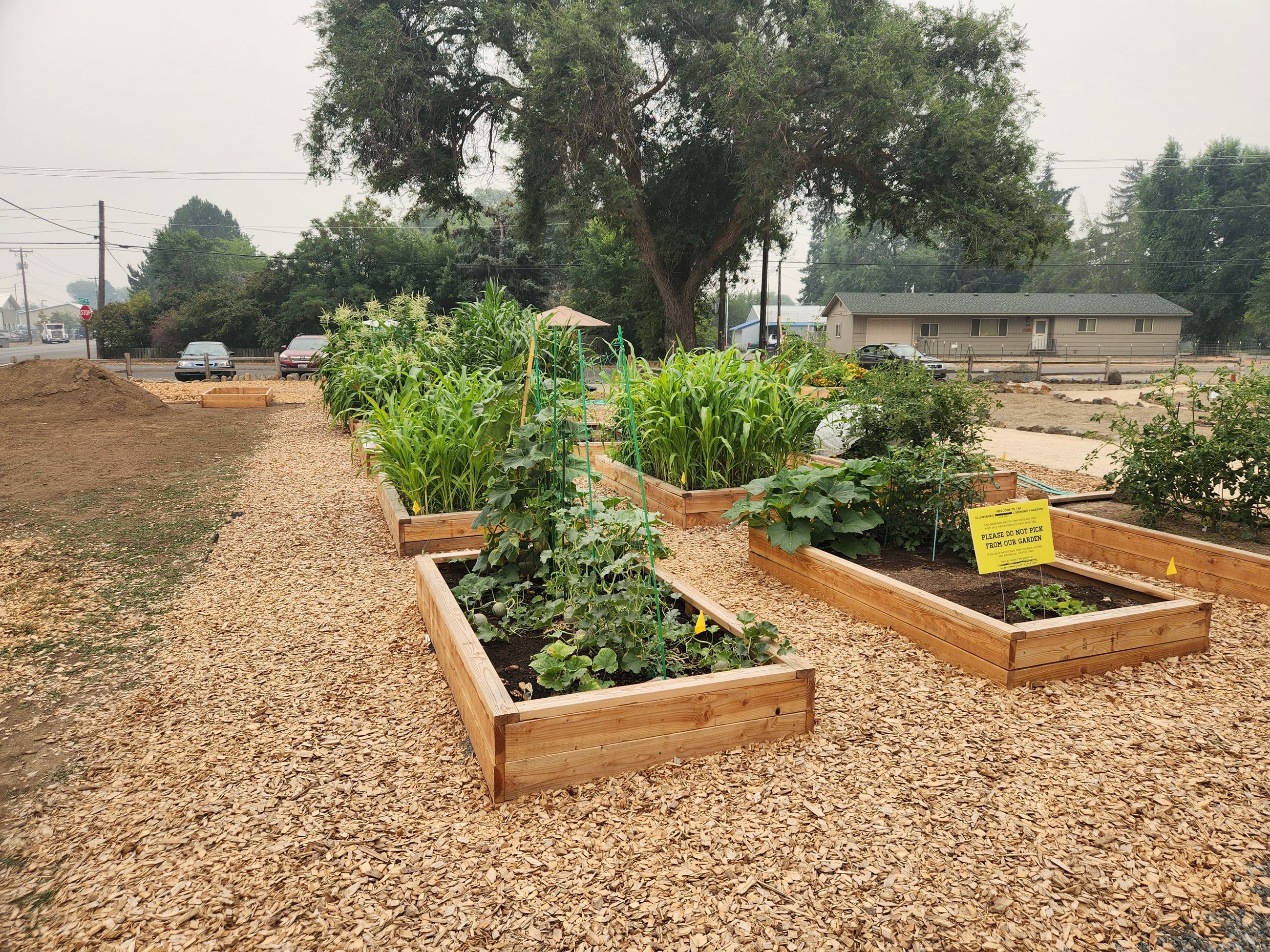 Community Garden at Wippel Park