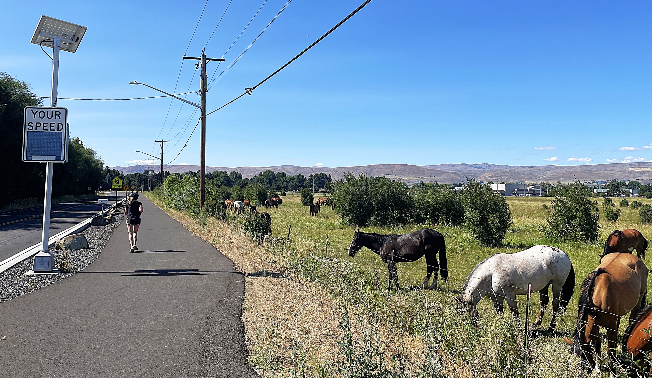 An asphalt pathway buffered by full height curb and gutter for pedestrian and cyclist safety. Horses and hills dot landscape.