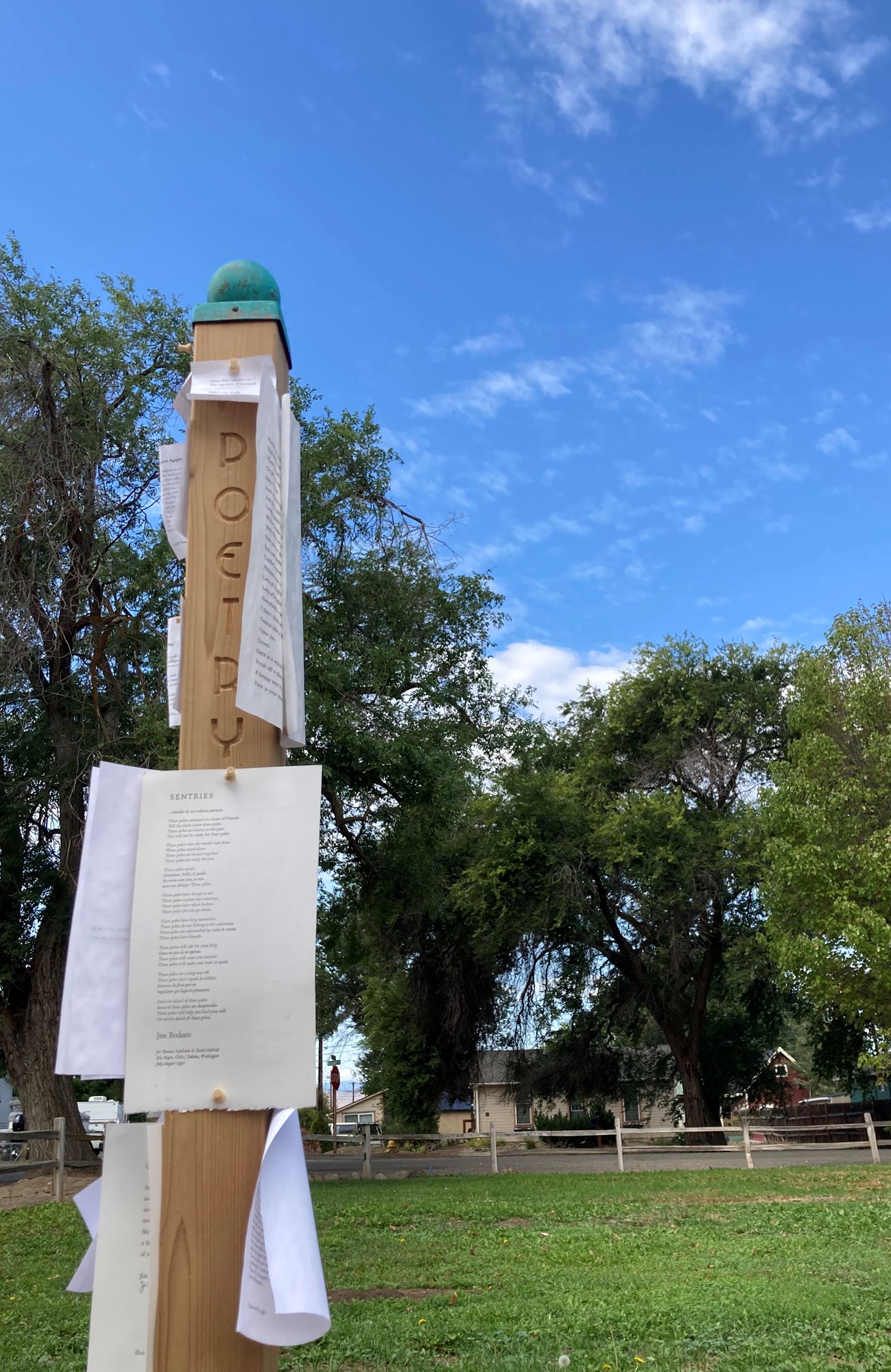 Poetry Pole at Wippel Park with poems pinned to it.