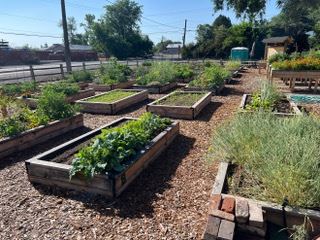 Wippel Community Garden beds looking south